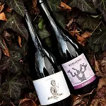 5 House Winery - Perfect Chill Lejlighed Somloszolos