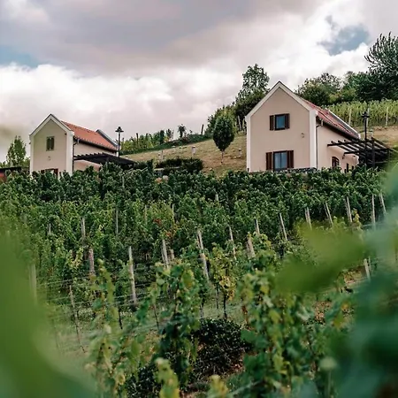 5 House Winery - Perfect Chill