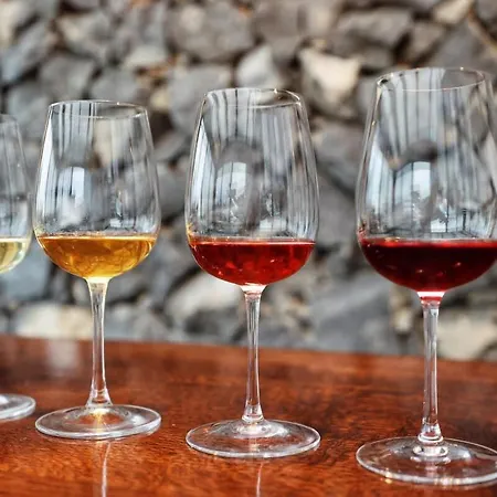 5 House Winery - Perfect Chill Somlószőlős