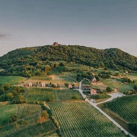 5 House Winery - Perfect Chill *