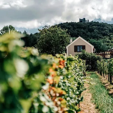 5 House Winery - Perfect Chill