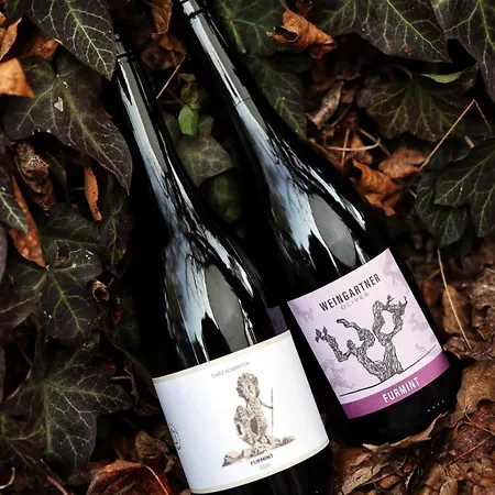 5 House Winery - Perfect Chill Lägenhet Somloszolos