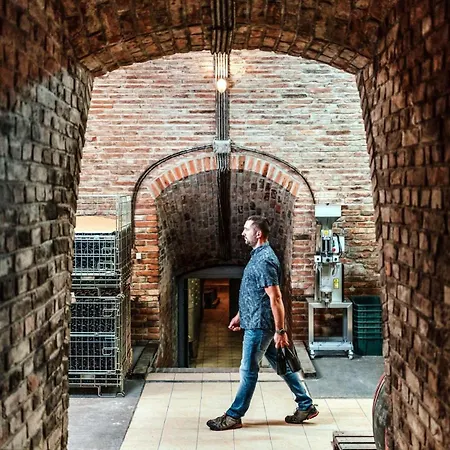 5 House Winery - Perfect Chill Somlószőlős