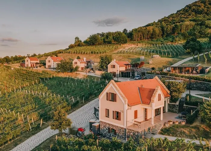 5 House Winery - Perfect Chill Apartament *