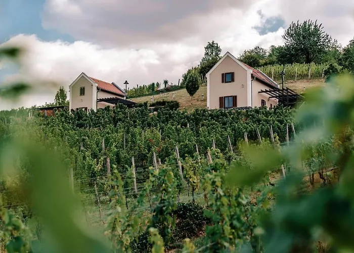 5 House Winery - Perfect Chill