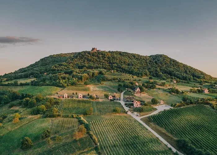 5 House Winery - Perfect Chill *