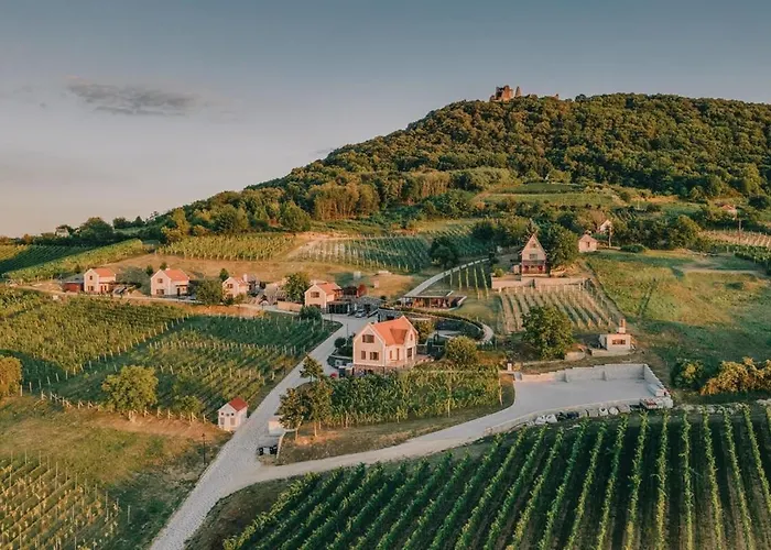 5 House Winery - Perfect Chill *