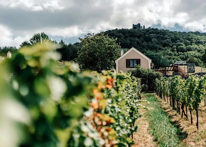 5 House Winery - Perfect Chill
