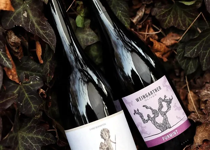 5 House Winery - Perfect Chill Lejlighed Somloszolos