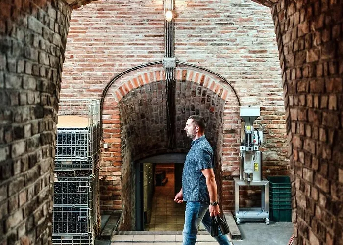 5 House Winery - Perfect Chill Somloszolos